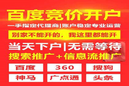 搜索引擎广告（SEM）在本地化推广中的运用案例